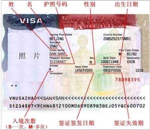 签证 样张