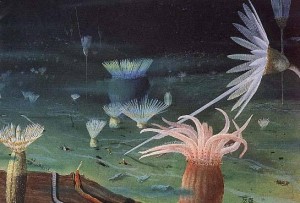 奇特的海底景观和固著底栖生物群落 奇特的海底景观和固著底栖生物群落