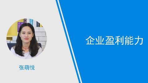企业盈利能力 搜狗百科