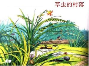草虫的村落