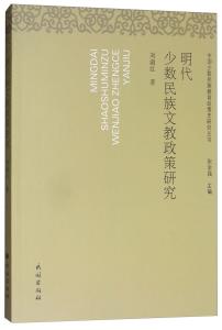 少数民族有哪些特别的政策 300
