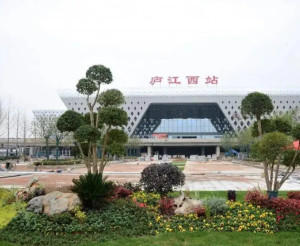 庐江县