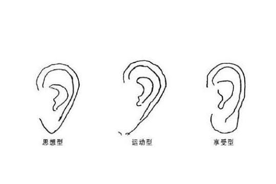 耳相 搜狗百科 耳相 搜狗百科