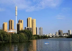 沙市区 搜狗百科