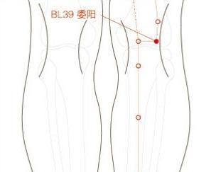 委阳的准确位置图图片