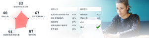 考核方向及成绩分析示例