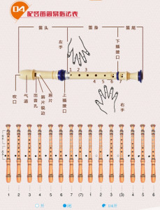 七孔竖笛1234567按法图片