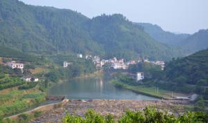 池坪村