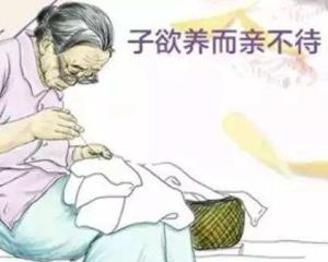 子欲养而亲不待