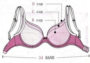 女性30种b型图解图片