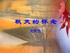 秋天的怀念