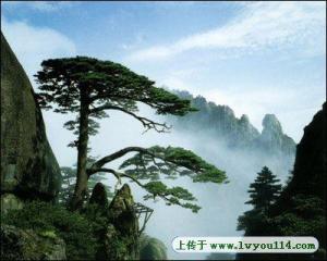 美景