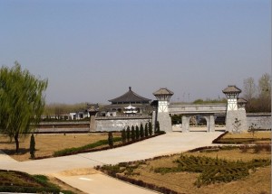 鄄城县