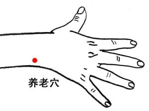 养老穴