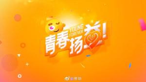 湖南卫视历年“青春扬益”公益广告频道包装