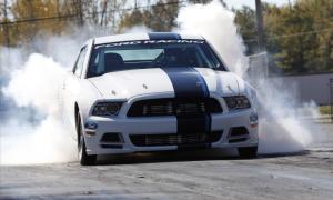 Mustang图册