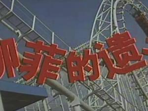 柳菲的遗书
