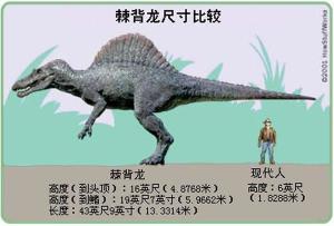棘椎龙