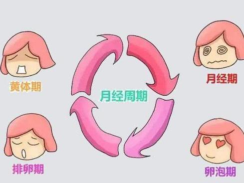 排卵期出血 快懂百科