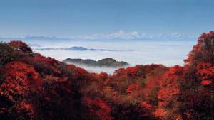 西岭雪山