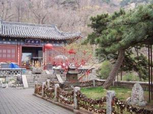 五大夫松图片集