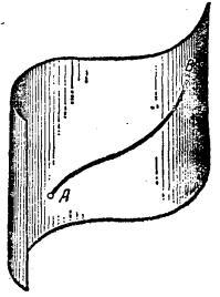 图1（b）