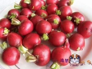 醋泡樱桃萝卜