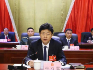 张双翼