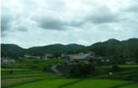 白阳镇
