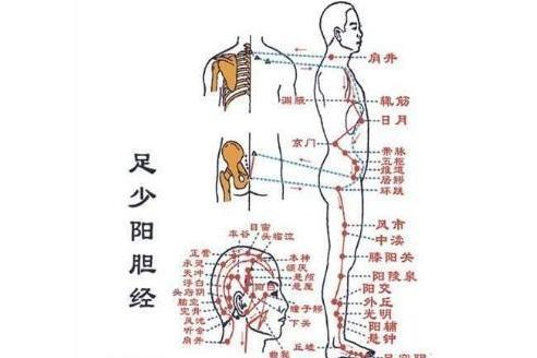 足少阳胆经(人体十二经脉之一)_搜狗百科