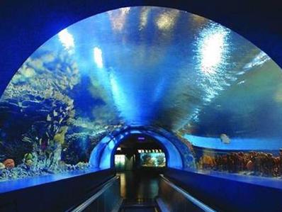 水族馆