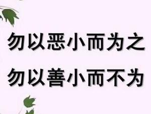 勿以恶小而为之勿以善小而不为