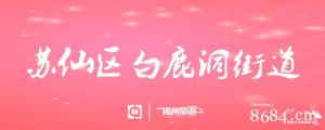 白鹿洞街道
