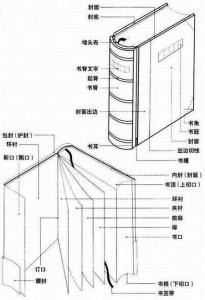 扉页 搜狗百科