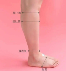 大腿围