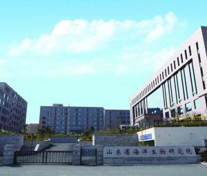 科研办公大楼