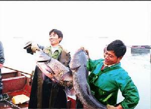 南湾湖