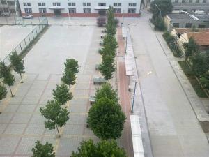 济南市长清中学图册