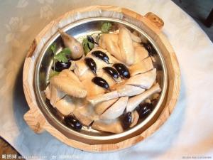 肉食亚目图册