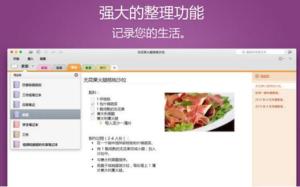 Microsoft OneNote