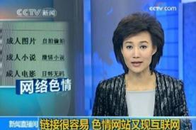媒体打击黄色网站