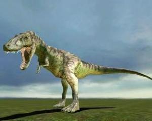 微角龙 - 搜狗百科