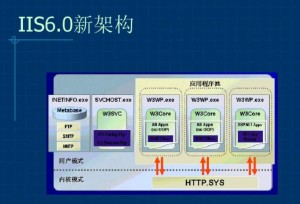 iis