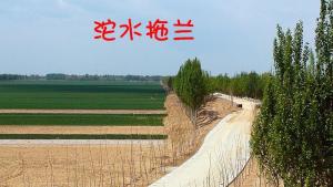 饶阳县风光
