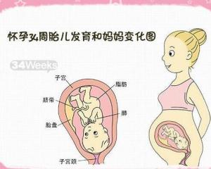 如何算怀孕几周比较准 300