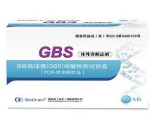 博尔诚GBS核酸检测试剂盒