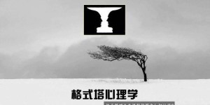 格式塔心理学