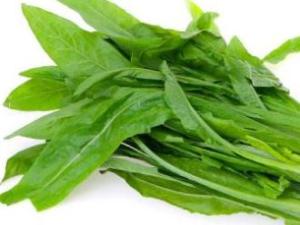 油麦菜