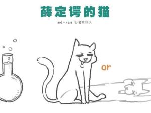 薛定谔的猫