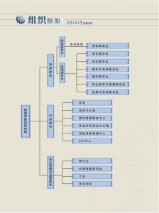 西安交通大学管理学院组织框架